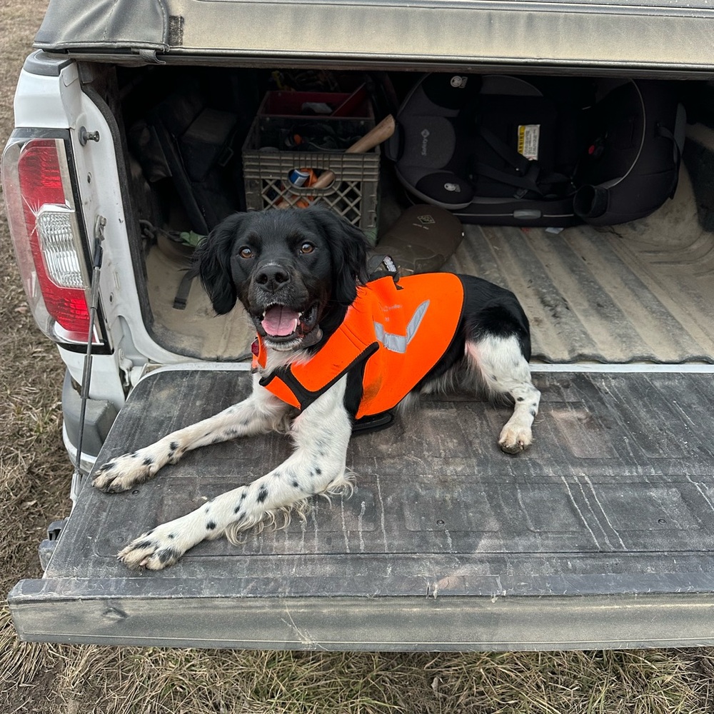 Meet your Posher, Cameron